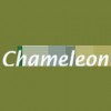 Chameleon Design
