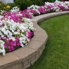 Cheshire Garden & Property