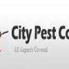 City Pest Control