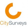 City Surveys