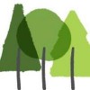 Clifford Jones Timber