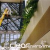 Clear Environmental