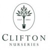 Clifton Nurseries