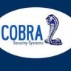 Cobra Security Systems