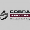 Cobra Security NI