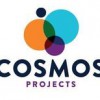 Cosmos Decorators