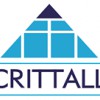 Crittall Windows