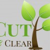 Cut & Clear
