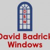 David Badrick Windows