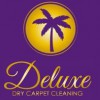 Deluxe Dry Carpet Cleaning
