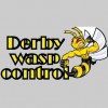 Derby Wasp & Pest Control