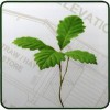 Devizes Wood Products