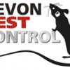 Devon Pest Control