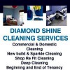 Diamond Shine Domestic Cleaning Services
