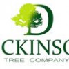Dickinson Tree