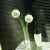 Discovery Blinds & Shutters