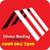 Divine Roofing & Building