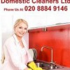 Domestic Cleaners