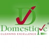 Domestique Cleaning Excellence