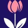 Dorothy House Hospice