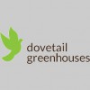 Dovetail Building Development