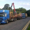 DSN Timber