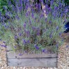 Dutch Barn Nursery