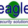 Eagle Security Solutions