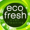 Eco Fresh Oven Cleaning