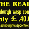 Edinburgh & Lothians Pest & Wasp Control