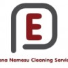 Elena Nemesu Cleaning Services