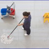 Elveys Cleaning Services