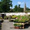 Englefield Garden Centre Reading