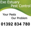Exe Estuary Pest Control