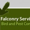 Falconry Bird & Pest Control Services
