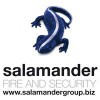 Salamander Fire & Security