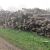 Tris Lusty Firewood & Fencing Contractor