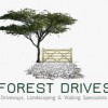 Forest Drives