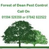 Forest Of Dean Pest Control