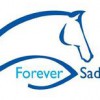 Forever Saddles