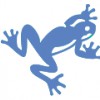 FROG IT Services