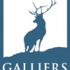 Galliers Homes