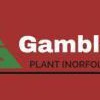 Gamble Plant