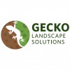 Gecko Landscapes