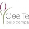 Gee Tee Bulb