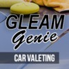 Gleamgeniejetcleaning