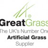 Great Grass Artificial Grass