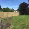 Greengrass Fencing & Garden Services