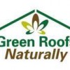 Green Roofs Naturally