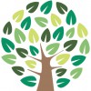 Green Tree Doors